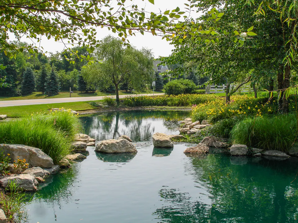 Community entry pond with boulder edge, ornamental grasses, yellow flowers, lawn, trees, and water